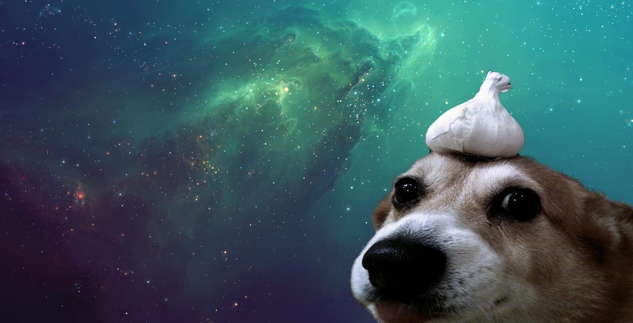 galaxyDog Back&Body Hurts