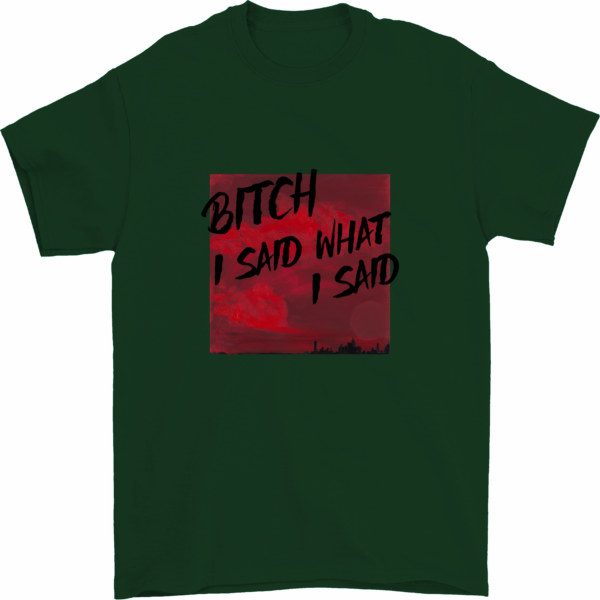 Bitch I said What I Said