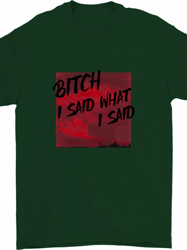 Bitch I said What I Said